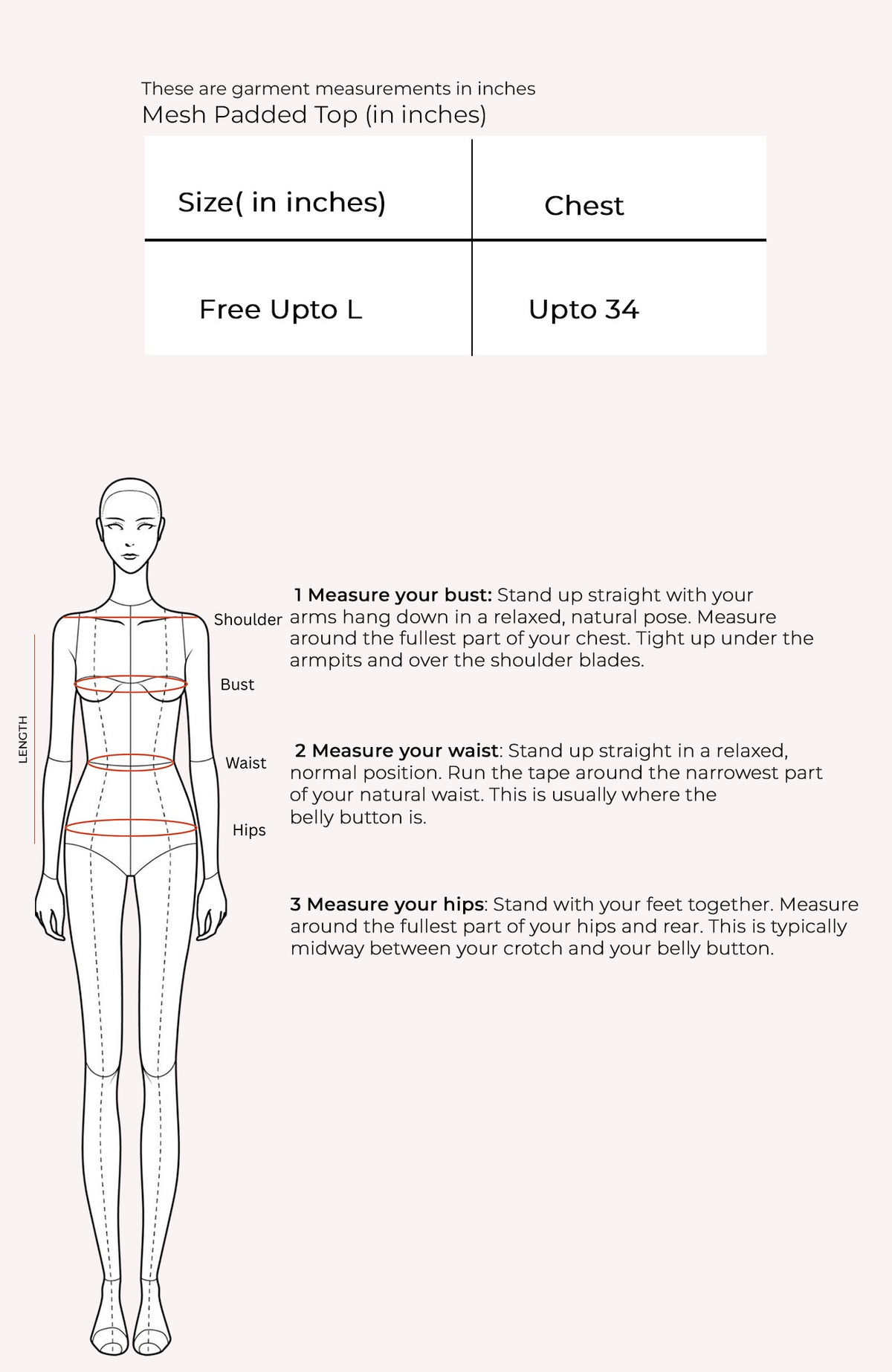 Mesh Padded Top Size Chart