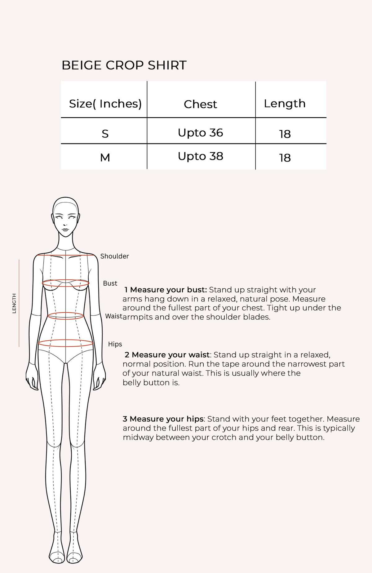 Beige Crop Shirt Size Chart